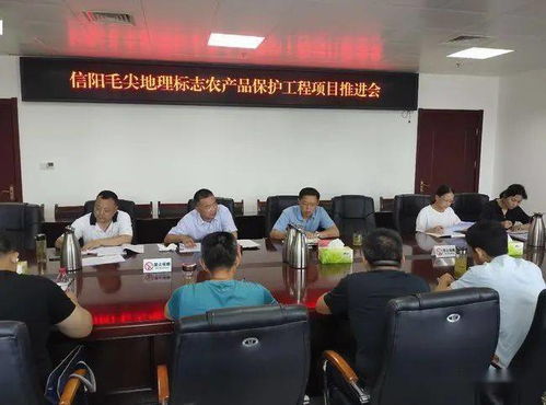 河南信陽召開毛尖地理標志保護推進會，筑牢產(chǎn)業(yè)發(fā)展根基